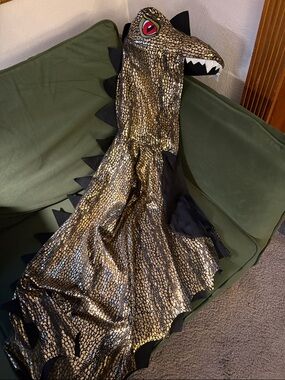 H&M Metallic Gold Dragon Hooded Cape